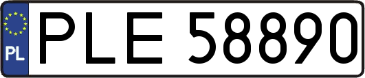 PLE58890
