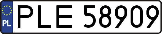 PLE58909