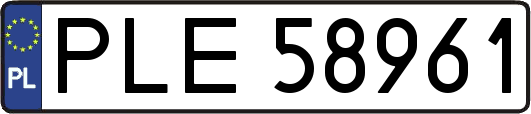 PLE58961