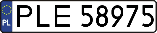 PLE58975