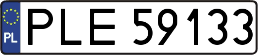 PLE59133