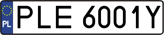 PLE6001Y