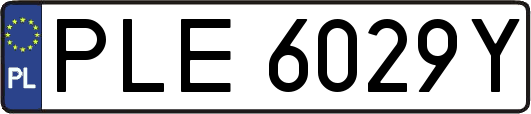 PLE6029Y