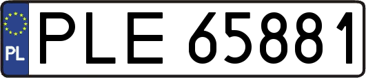 PLE65881