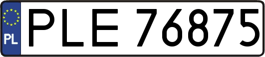 PLE76875