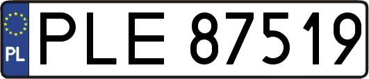 PLE87519