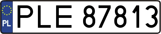 PLE87813