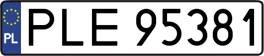 PLE95381