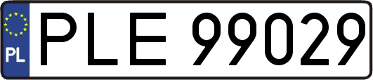 PLE99029