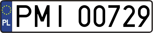 PMI00729