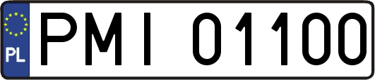 PMI01100