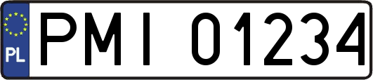 PMI01234