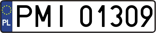 PMI01309