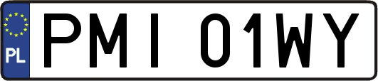PMI01WY
