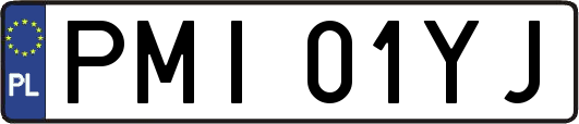 PMI01YJ