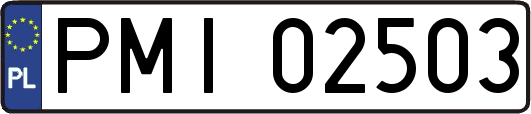 PMI02503