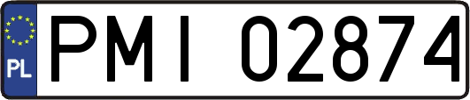 PMI02874