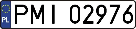 PMI02976