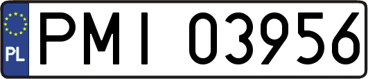 PMI03956