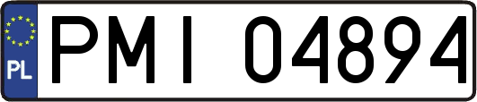 PMI04894