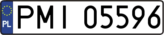 PMI05596