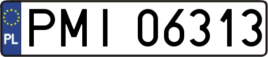 PMI06313