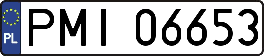 PMI06653