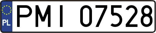 PMI07528