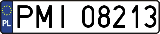 PMI08213