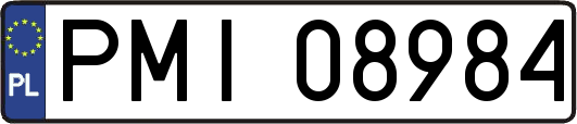 PMI08984