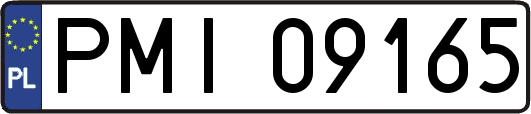 PMI09165