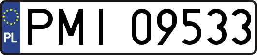 PMI09533