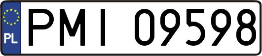 PMI09598