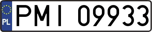 PMI09933