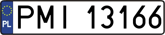 PMI13166