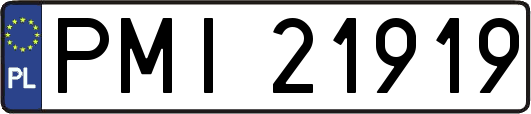 PMI21919