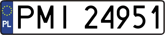 PMI24951