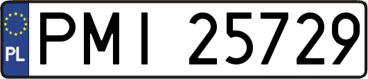 PMI25729