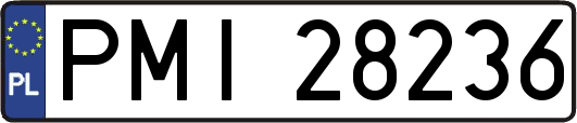 PMI28236