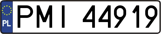 PMI44919