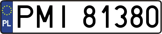 PMI81380