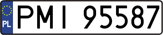 PMI95587