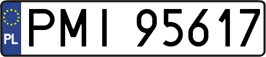 PMI95617