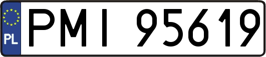 PMI95619