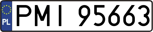 PMI95663