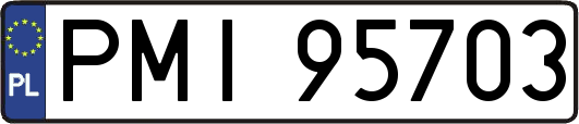 PMI95703