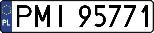 PMI95771