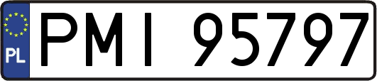 PMI95797
