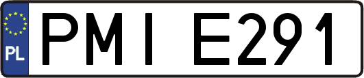 PMIE291