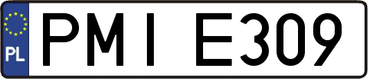 PMIE309
